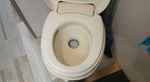 Signs That You Have a Toilet Problem