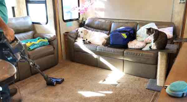 12 Factors About How To Clean RV Carpet