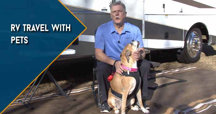 rv travel with pets