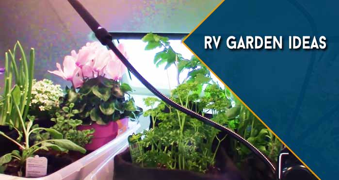 rv garden ideas